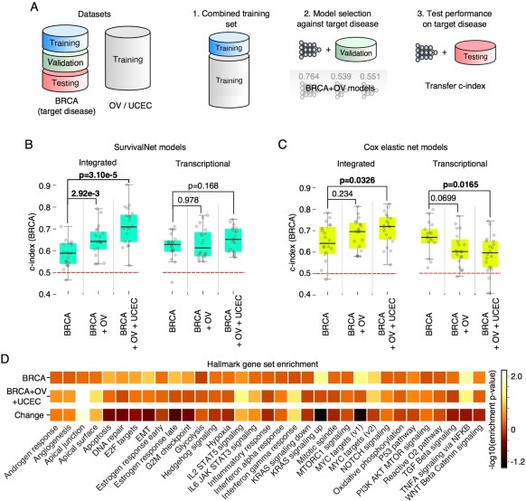 Learning html 4.0 6-cd settings Learning html 4.0 6-cd settings