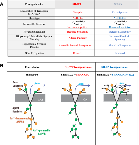 View full size image