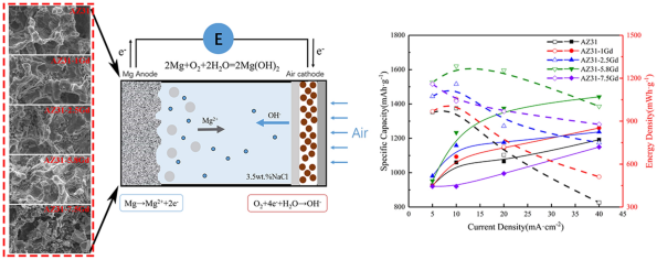 Effect of Gd content on the discharge and electrochemical behaviors of the  magnesium alloy AZ31 as an anode for Mg-air battery | SpringerLink