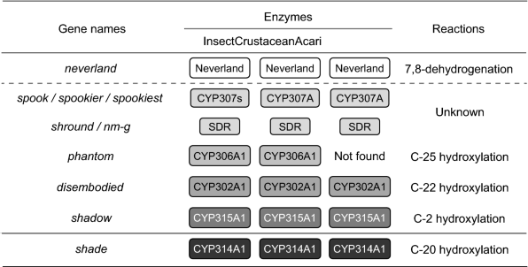 Where Can You Find Free pct steroids Resources pct steroids Smackdown!