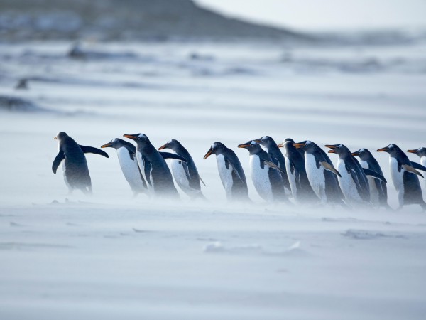 Part 1: Introducing collaboration