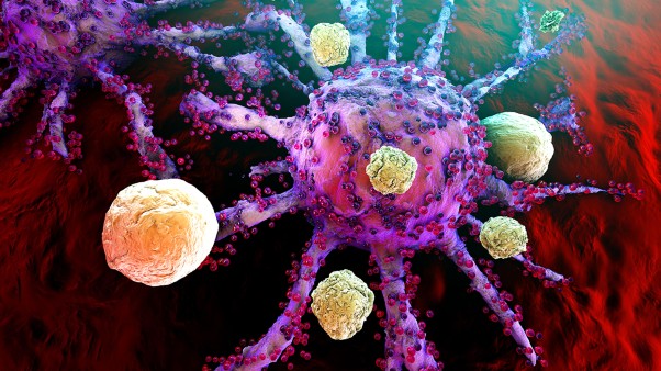 Big bets on new cancer therapies and how to find them