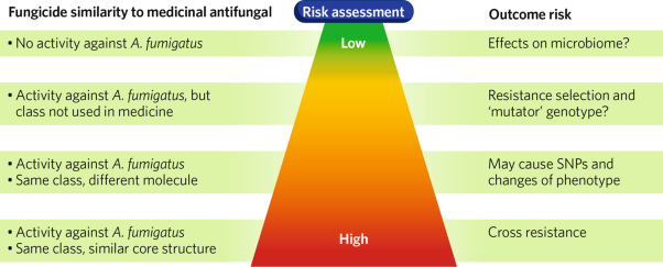 Fighting the rising tide of antifungal resistance: a global challenge