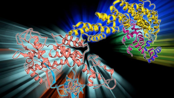 Molecular glues bring partners together