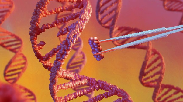 Precision gene-editing progresses, despite challenges