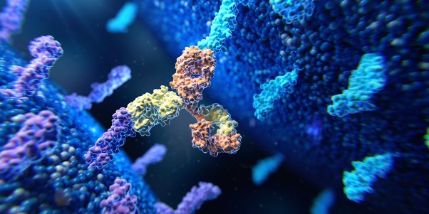 The year of the bispecific in oncology and beyond