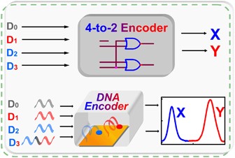 DNA biomolecular-electronic encoder and decoder devices constructed by multiplex biosensors