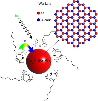 Wurtzite Cu<sub>2</sub>ZnSnSe<sub>4</sub> nanocrystals for high-performance organic–inorganic hybrid photodetectors