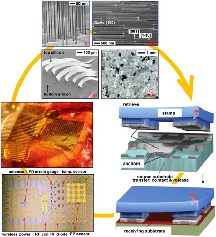 Inorganic semiconductor nanomaterials for flexible and stretchable bio-integrated electronics