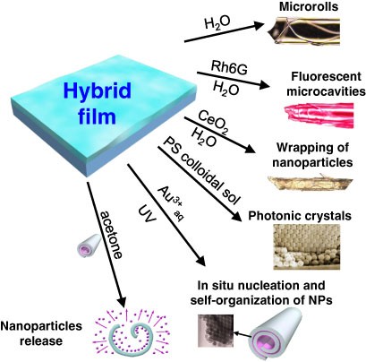 Strain-driven self-rolling of hybrid organic–inorganic microrolls: interfaces with self-assembled particles