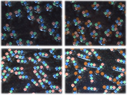 Multifunctional photonic crystal barcodes from microfluidics