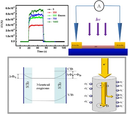 Ultrahigh-gain single SnO<sub>2</sub> nanowire photodetectors made with ferromagnetic nickel electrodes