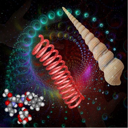 The transformation of chiral signals into macroscopic properties of materials using chirality-responsive polymers