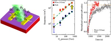 Surface plasmon-enhanced gas sensing in single gold-peapodded silica nanowires