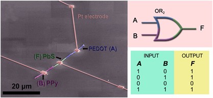 Electronic logic gates from three-segment nanowires featuring two p–n heterojunctions
