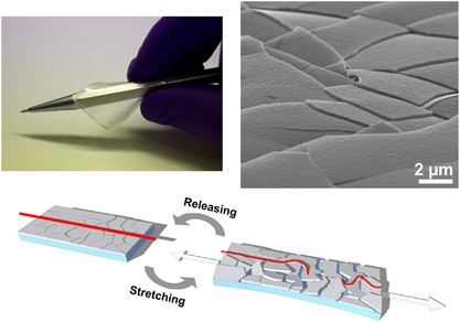 Transparent functional oxide stretchable electronics: micro-tectonics enabled high strain electrodes