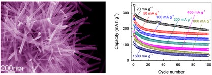 β-MnO<sub>2</sub> nanorods with exposed tunnel structures as high-performance cathode materials for sodium-ion batteries