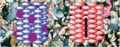 Discotic liquid crystal-nanoparticle hybrid systems