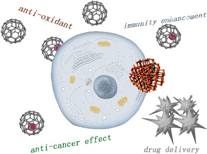 Therapeutic applications of low-toxicity spherical nanocarbon materials