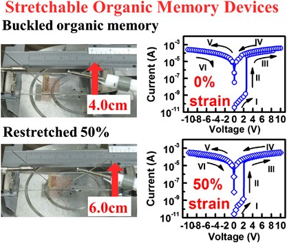 Stretchable organic memory: toward learnable and digitized stretchable electronic applications