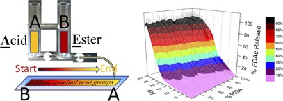 Tuning drug release in polyester thin films: terminal end-groups determine specific rates of additive-free controlled drug release