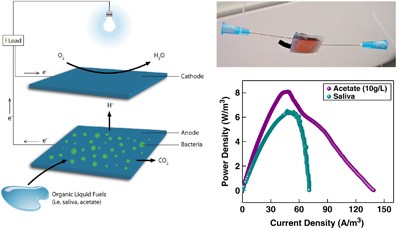 Energy harvesting from organic liquids in micro-sized microbial fuel cells