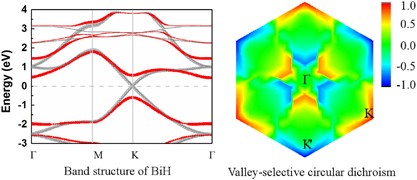 Quantum spin Hall insulators and quantum valley Hall insulators of BiX/SbX (X=H, F, Cl and Br) monolayers with a record bulk band gap