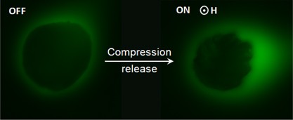 Bio-inspired controlled release through compression–relaxation cycles of microcapsules