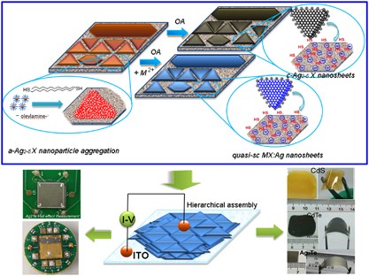 Oriented attachment of nanoparticles to form micrometer-sized nanosheets/nanobelts by topotactic reaction on rigid/flexible substrates with improved electronic properties