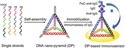 Ultrasensitive IgG quantification using DNA nano-pyramids