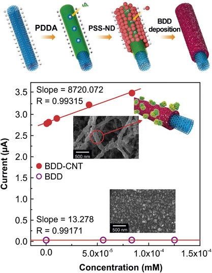 3D-networked carbon nanotube/diamond core-shell nanowires for enhanced electrochemical performance