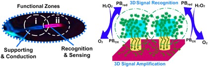 Bio-inspired porous antenna-like nanocube/nanowire heterostructure as ultra-sensitive cellular interfaces