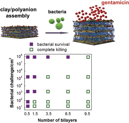 Small-molecule-hosting nanocomposite films with multiple bacteria-triggered responses