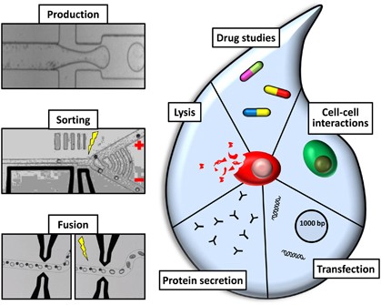 One drop at a time: toward droplet microfluidics as a versatile tool for single-cell analysis