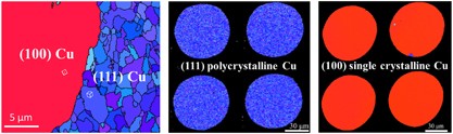 Extremely anisotropic single-crystal growth in nanotwinned copper