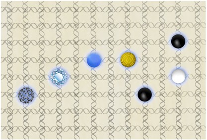 Spatial regulation of synthetic and biological nanoparticles by DNA nanotechnology