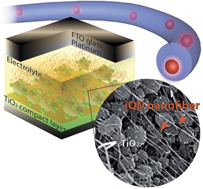 Controlling the spatial distribution of quantum dots in nanofiber for light-harvesting devices