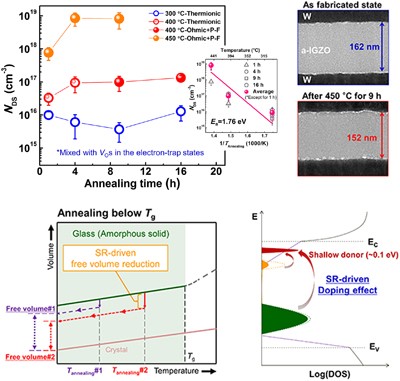 Structural-relaxation-driven electron doping of amorphous oxide semiconductors by increasing the concentration of oxygen vacancies in shallow-donor states