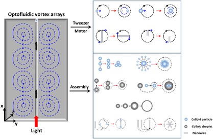 Optofluidic vortex arrays generated by graphene oxide for tweezers, motors and self-assembly
