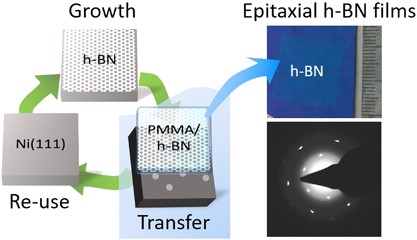 Centimeter-sized epitaxial h-BN films
