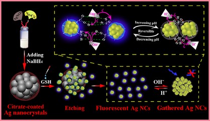 The pH-switchable agglomeration and dispersion behavior of fluorescent Ag nanoclusters and its applications in urea and glucose biosensing