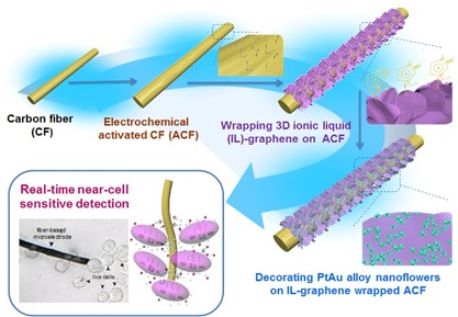 PtAu alloy nanoflowers on 3D porous ionic liquid functionalized graphene-wrapped activated carbon fiber as a flexible microelectrode for near-cell detection of cancer