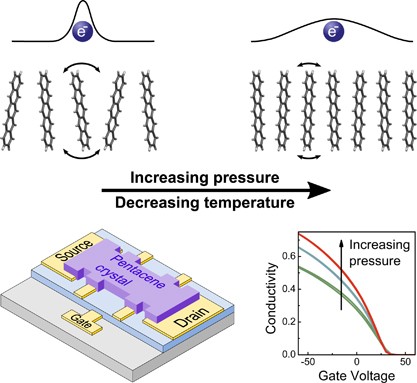The emergence of charge coherence in soft molecular organic semiconductors via the suppression of thermal fluctuations