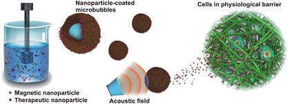Controlled nanoparticle release from stable magnetic microbubble oscillations
