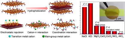 Highly selective charge-guided ion transport through a hybrid membrane consisting of anionic graphene oxide and cationic hydroxide nanosheet superlattice units