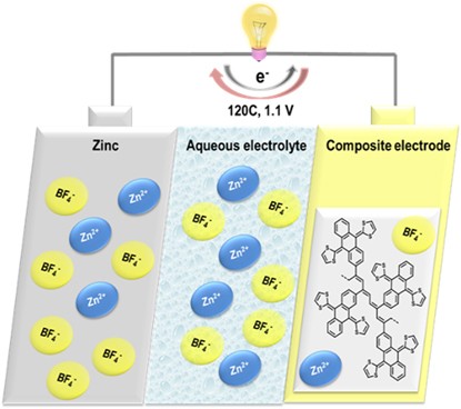Aqueous zinc-organic polymer battery with a high rate performance and long lifetime