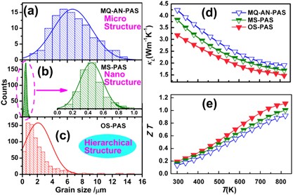 Panoscopic approach for high-performance Te-doped skutterudite