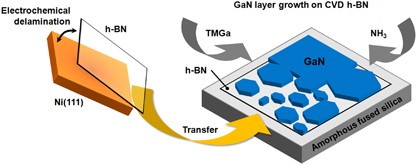 Transferable single-crystal GaN thin films grown on chemical vapor-deposited hexagonal BN sheets