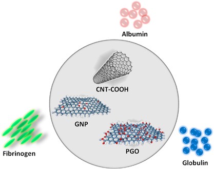 Nano-bio interactions between carbon nanomaterials and blood plasma proteins: why oxygen functionality matters