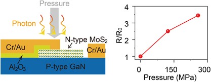 Enhanced photoresponsivity of the MoS<sub>2</sub>-GaN heterojunction diode via the piezo-phototronic effect